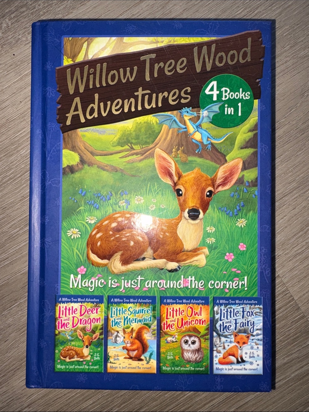 Willow Tree Wood Adventures - Children's Hardcover Storybook (Blue)